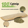 PurrPlay Catnip Chew Toy — Endless Fun & Healthy Chewing