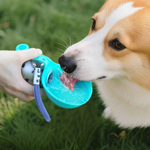 HydroPaws Waterfles — Drinken & Bak in Één