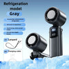 Whisper-Quiet Ceramic Cooling Fan
